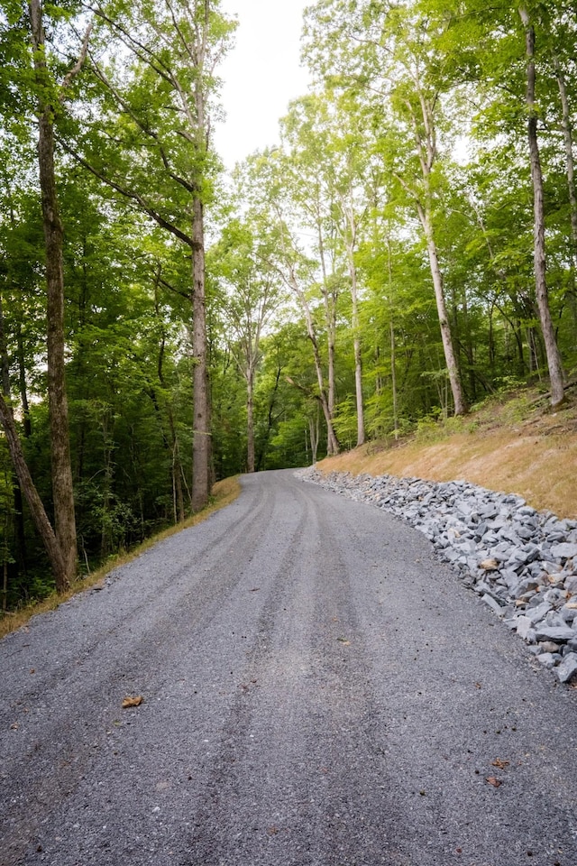 1 Peach Hollow Rd, Franklin, TN 37064 - photo 22