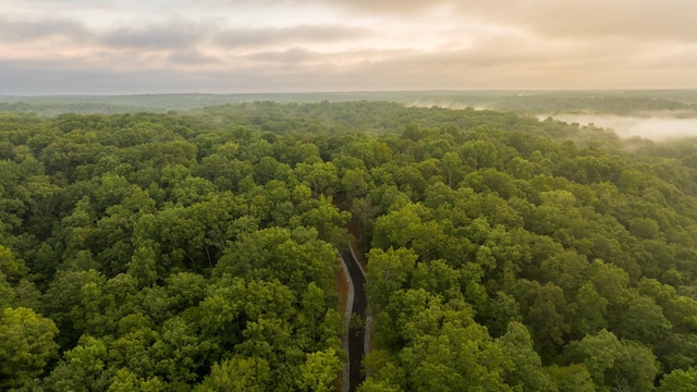 1 Peach Hollow Rd, Franklin, TN 37064 - photo 5