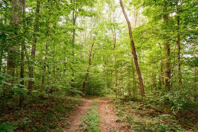1 Peach Hollow Rd, Franklin, TN 37064 - photo 14