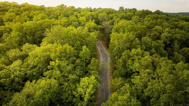 1 Peach Hollow Rd, Franklin, TN 37064 - photo 23