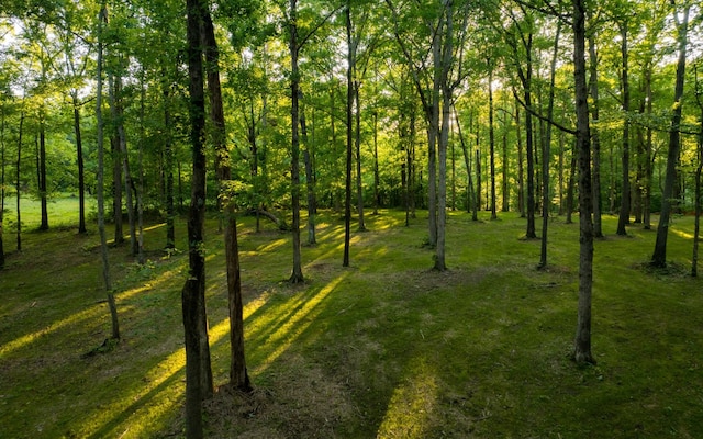 1 Peach Hollow Rd, Franklin, TN 37064 - photo 8