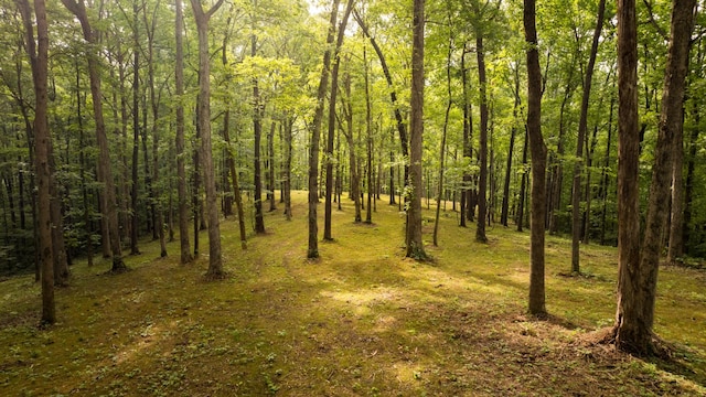 1 Peach Hollow Rd, Franklin, TN 37064 - photo 21