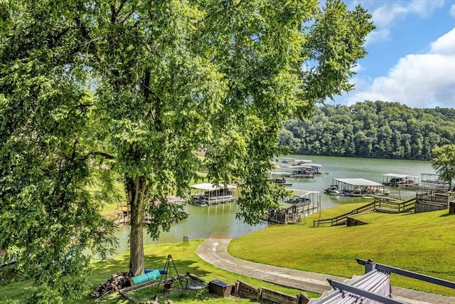 550 Shasteen Hollow Rd, Lynchburg, TN 37352 - photo 45