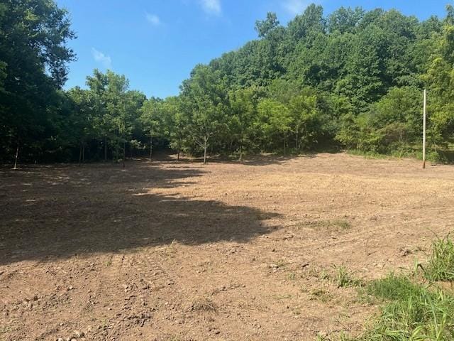 0 Dick Mcgee Rd, Lynchburg, TN 37352 - photo 1