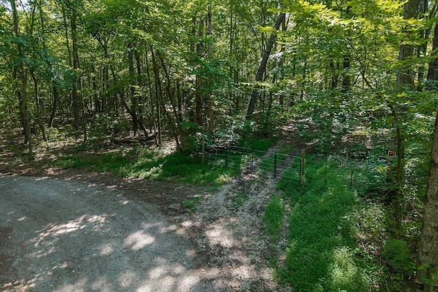 0 Phillips Rd, Cookeville, TN 38501 - photo 2