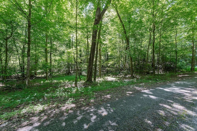 0 Phillips Rd, Cookeville, TN 38501 - photo 18