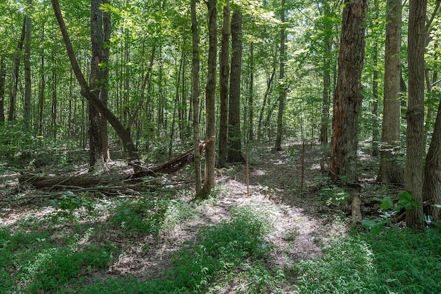 0 Phillips Rd, Cookeville, TN 38501 - photo 16