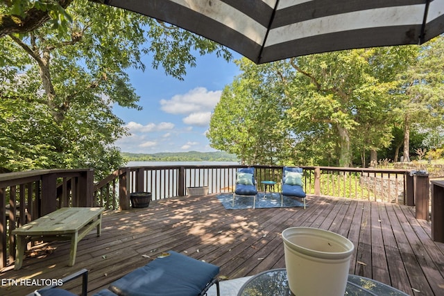 201 High Pointe Village Way, Kingston, TN 37763 - photo 39