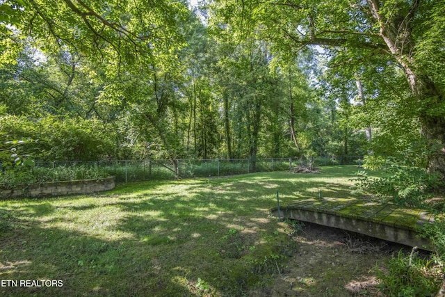 717 Calvin St, Kingston, TN 37763 - photo 4