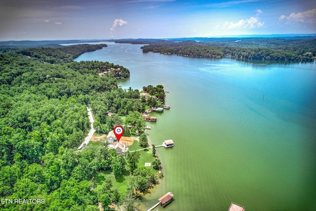 1800 Indian Shadows Dr, Ten Mile, TN 37880 - photo 38