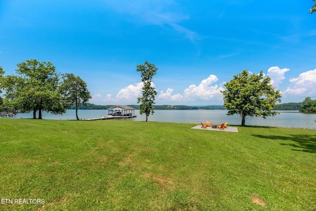 1800 Indian Shadows Dr, Ten Mile, TN 37880 - photo 12
