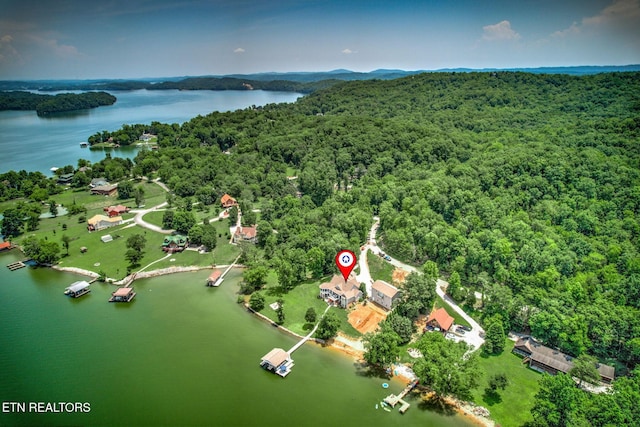 1800 Indian Shadows Dr, Ten Mile, TN 37880 - photo 40