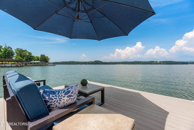1800 Indian Shadows Dr, Ten Mile, TN 37880 - photo 10