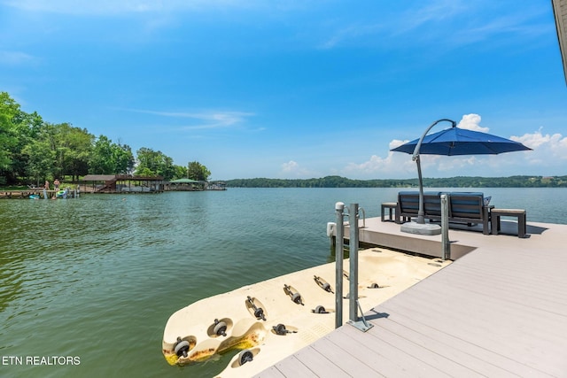 1800 Indian Shadows Dr, Ten Mile, TN 37880 - photo 11