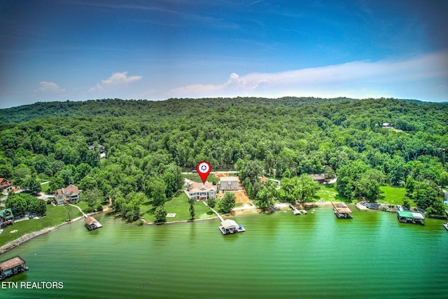 1800 Indian Shadows Dr, Ten Mile, TN 37880 - photo 2