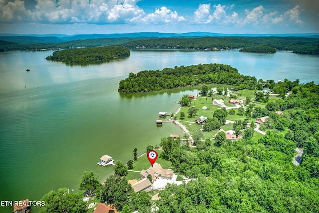 1800 Indian Shadows Dr, Ten Mile, TN 37880 - photo 1