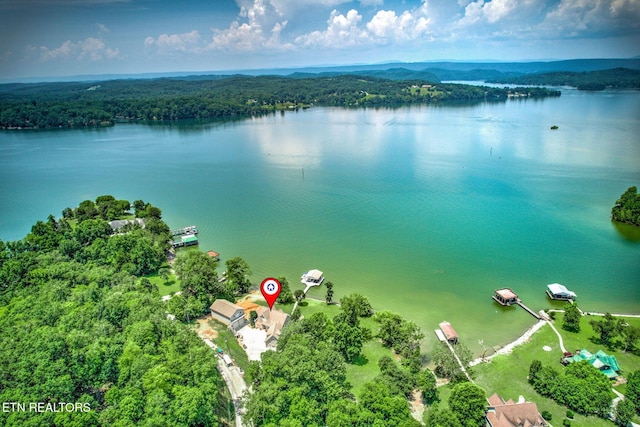 1800 Indian Shadows Dr, Ten Mile, TN 37880 - photo 41
