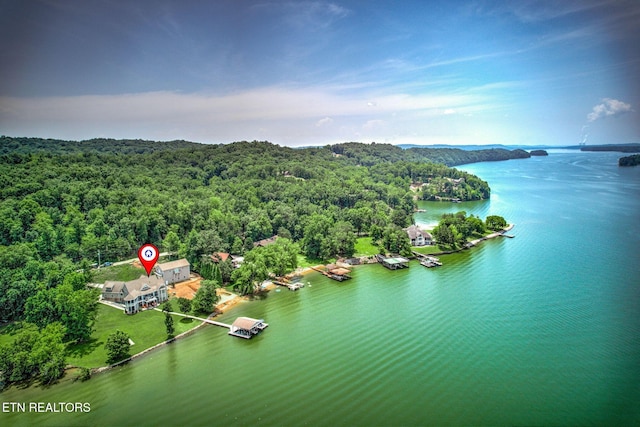 1800 Indian Shadows Dr, Ten Mile, TN 37880 - photo 43