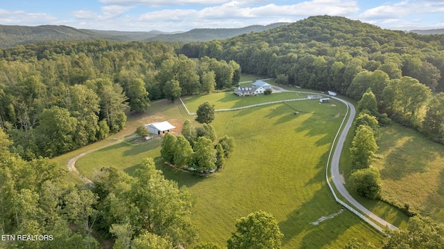 596 Clifty Creek Rd, Oakdale, TN 37829 - photo 4