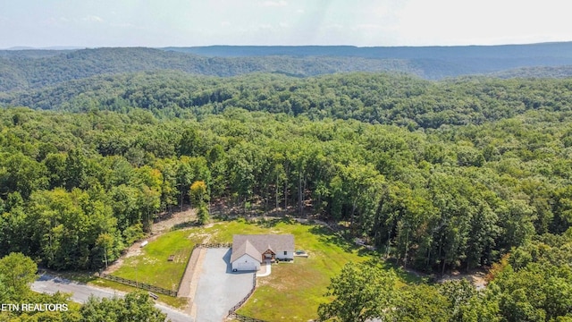126 Homestead Hollow Rd, Lancing, TN 37770 - photo 2