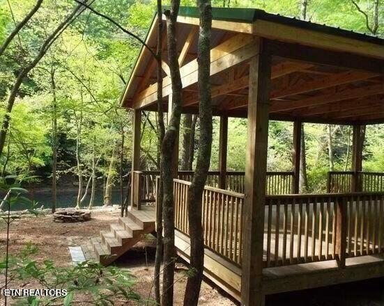 126 Homestead Hollow Rd, Lancing, TN 37770 - photo 60