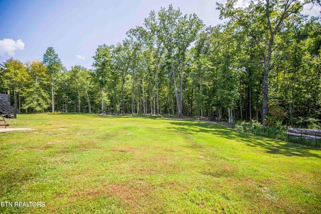 126 Homestead Hollow Rd, Lancing, TN 37770 - photo 54