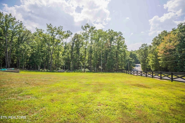 126 Homestead Hollow Rd, Lancing, TN 37770 - photo 55