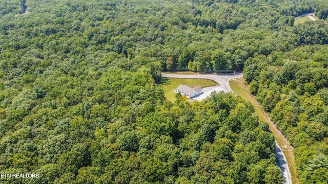 126 Homestead Hollow Rd, Lancing, TN 37770 - photo 37
