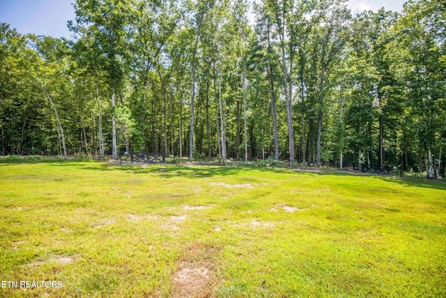 126 Homestead Hollow Rd, Lancing, TN 37770 - photo 53