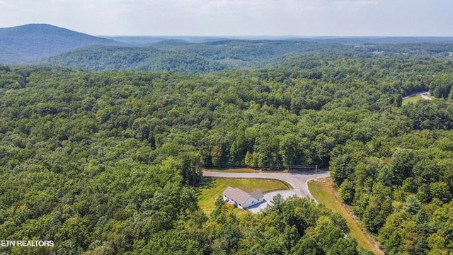 126 Homestead Hollow Rd, Lancing, TN 37770 - photo 38
