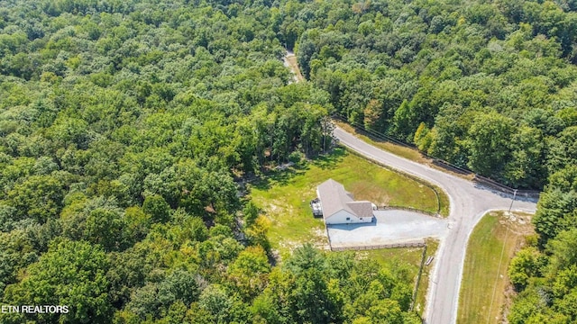 126 Homestead Hollow Rd, Lancing, TN 37770 - photo 41