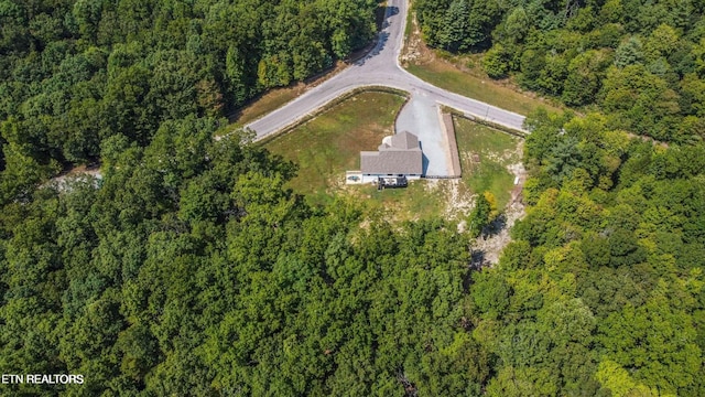 126 Homestead Hollow Rd, Lancing, TN 37770 - photo 35
