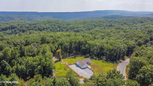 126 Homestead Hollow Rd, Lancing, TN 37770 - photo 42