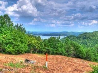 406 Flint Ridge Rd, Rockwood, TN 37854 - photo 3