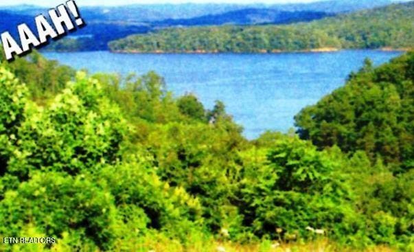 406 Flint Ridge Rd, Rockwood, TN 37854 - photo 1