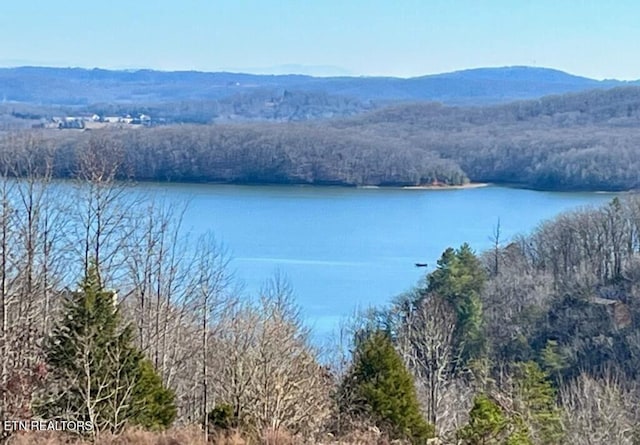 406 Flint Ridge Rd, Rockwood, TN 37854 - photo 2