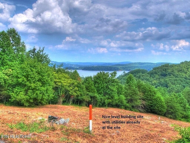 406 Flint Ridge Rd, Rockwood, TN 37854 - photo 4