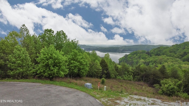 406 Flint Ridge Rd, Rockwood, TN 37854 - photo 7