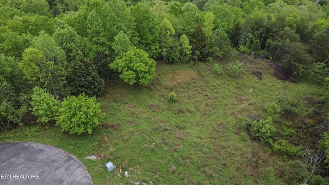 406 Flint Ridge Rd, Rockwood, TN 37854 - photo 9