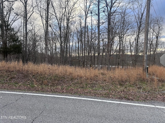 2 Indian Shadows Dr, Ten Mile, TN 37880 - photo 3