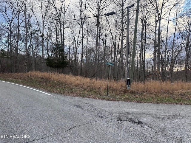 2 Indian Shadows Dr, Ten Mile, TN 37880 - photo 2
