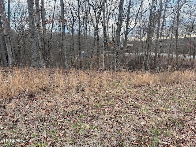 2 Indian Shadows Dr, Ten Mile, TN 37880 - photo 5
