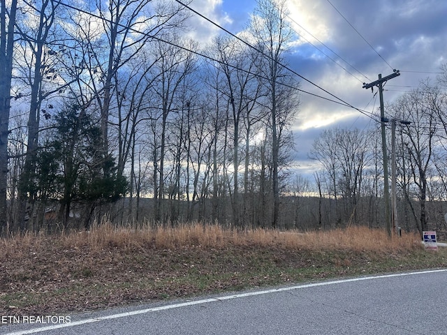 2 Indian Shadows Dr, Ten Mile, TN 37880 - photo 6