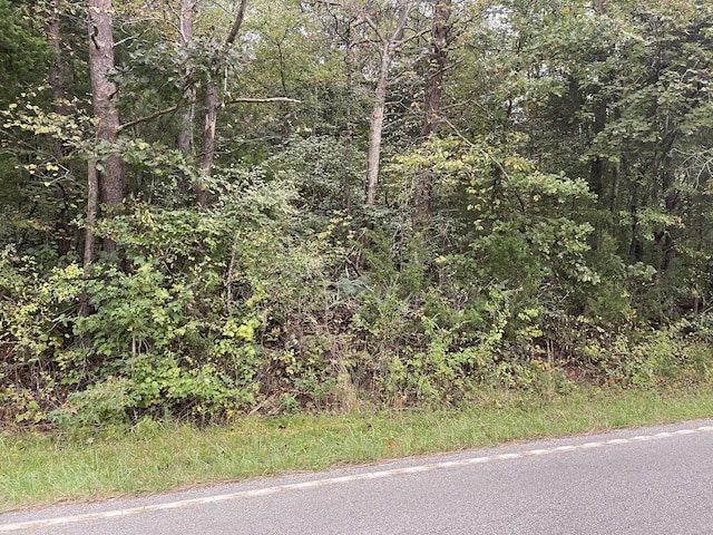 0 River Rd, Ten Mile, TN 37880 - photo 2