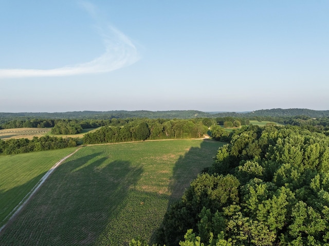 2111 Hoovers Rd, Duck River, TN 38454 - photo 72
