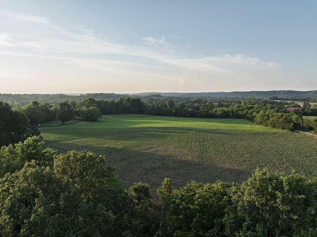 2111 Hoovers Rd, Duck River, TN 38454 - photo 70
