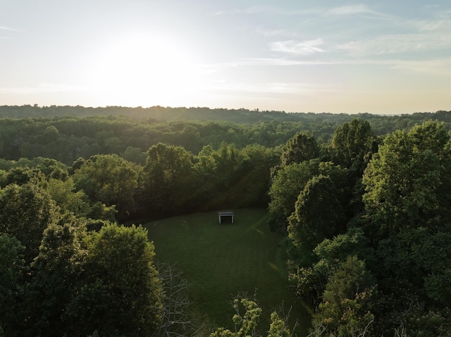 2111 Hoovers Rd, Duck River, TN 38454 - photo 43