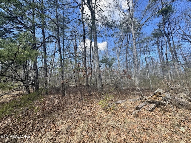 0 Divide Trl, Monterey, TN 38574 - photo 5