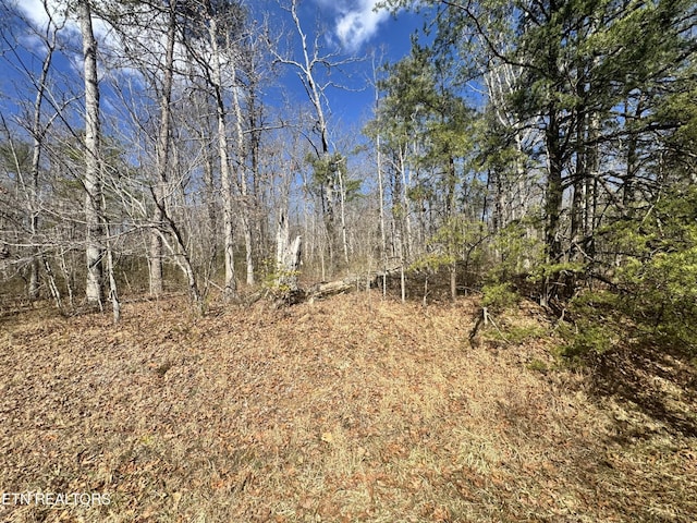 0 Divide Trl, Monterey, TN 38574 - photo 10