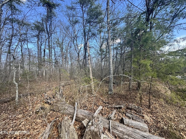 0 Divide Trl, Monterey, TN 38574 - photo 8